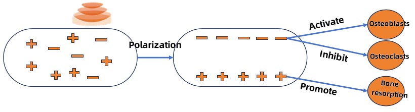 Single Channel Shock Wave Therapy System