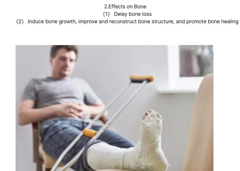 Single Channel Shock Wave Therapy System