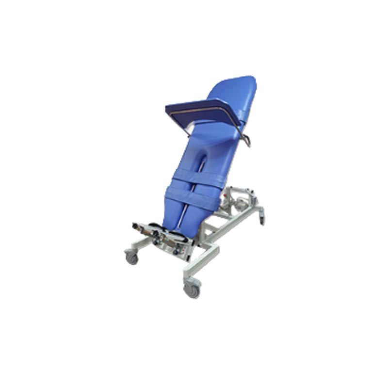 Electric Standing Training Rehabilitation Bed