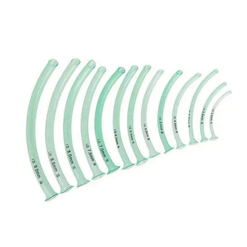 مجرى الهواء البلعومي