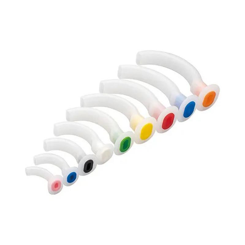 مجرى الهواء الفموي البلعومي